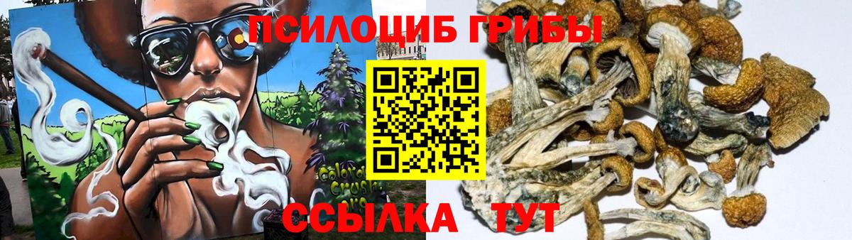 магазин    Вход с VPN  Нижневартовск  Псилоцибиновые грибы Cubensis 